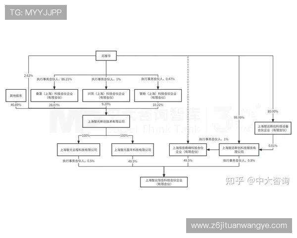 尊龙集团(Z6)企业并购与合作发展中的关键策略分析