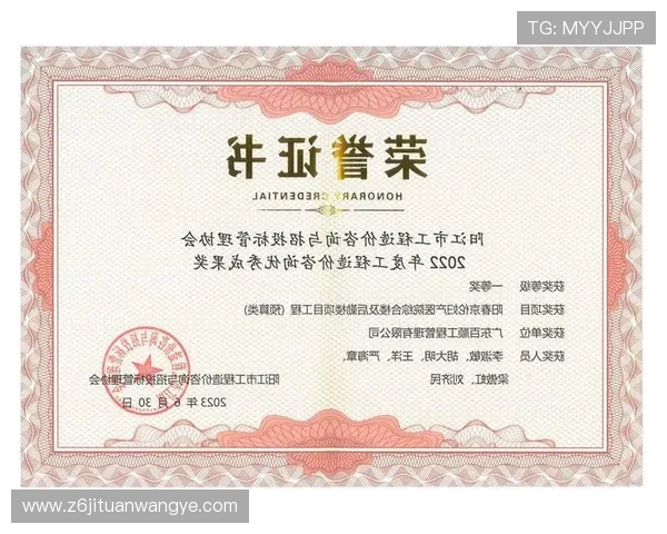 尊龙z6登录界面优化升级，提升用户操作体验与界面美观度