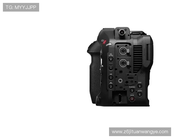 尊龙z6国际版官网常见问题解答与技术支持服务