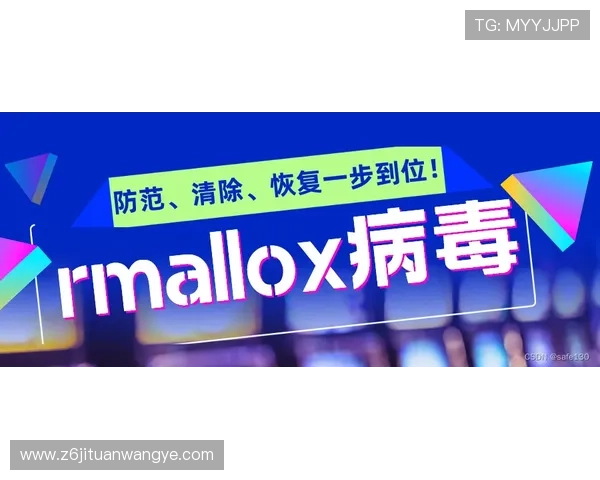 尊龙会官网安全保障措施全揭秘，保障玩家个人信息与资金安全