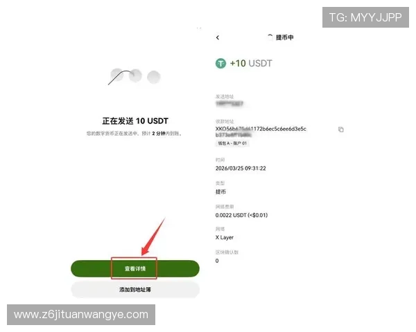 如何在凯时尊龙app中实现快速充值与提现,确保资金安全与交易便捷 如何在凯时尊龙app中实现快速充值与提现,确保资金安全与交易便捷