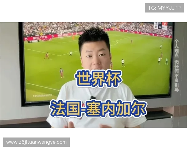 世界杯赛场揭秘:塞内加尔对阵法国比赛场馆的容量与安保措施分析 世界杯赛场揭秘:塞内加尔对阵法国比赛场馆的容量与安保措施分析